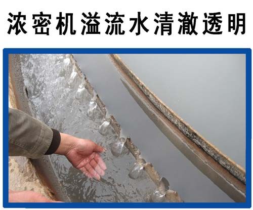 處理效果 (1).jpg