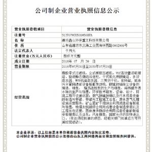 公司制企業(yè)營(yíng)業(yè)執(zhí)照信息公示